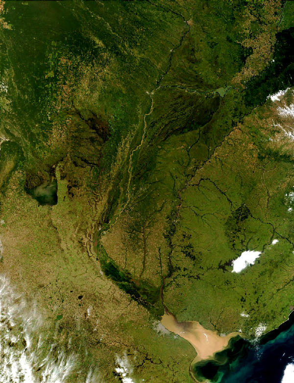 Imej satelit Lembangan la Plata.
