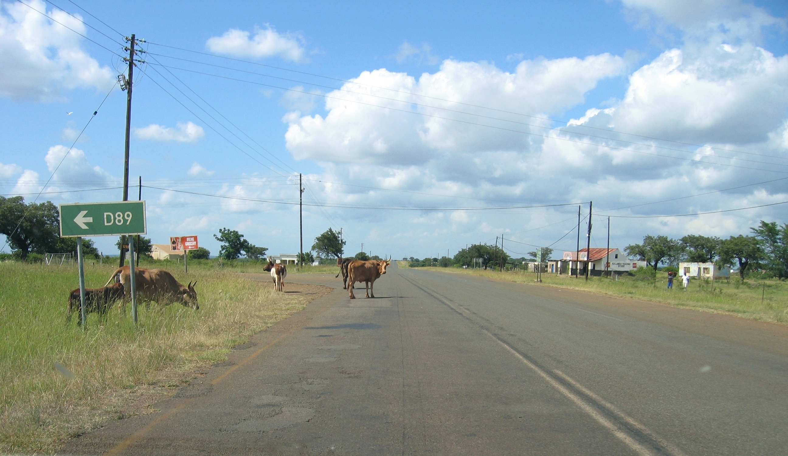 Road MR8 near Big Bend, a town in the sugar-growing region of Lubombo.