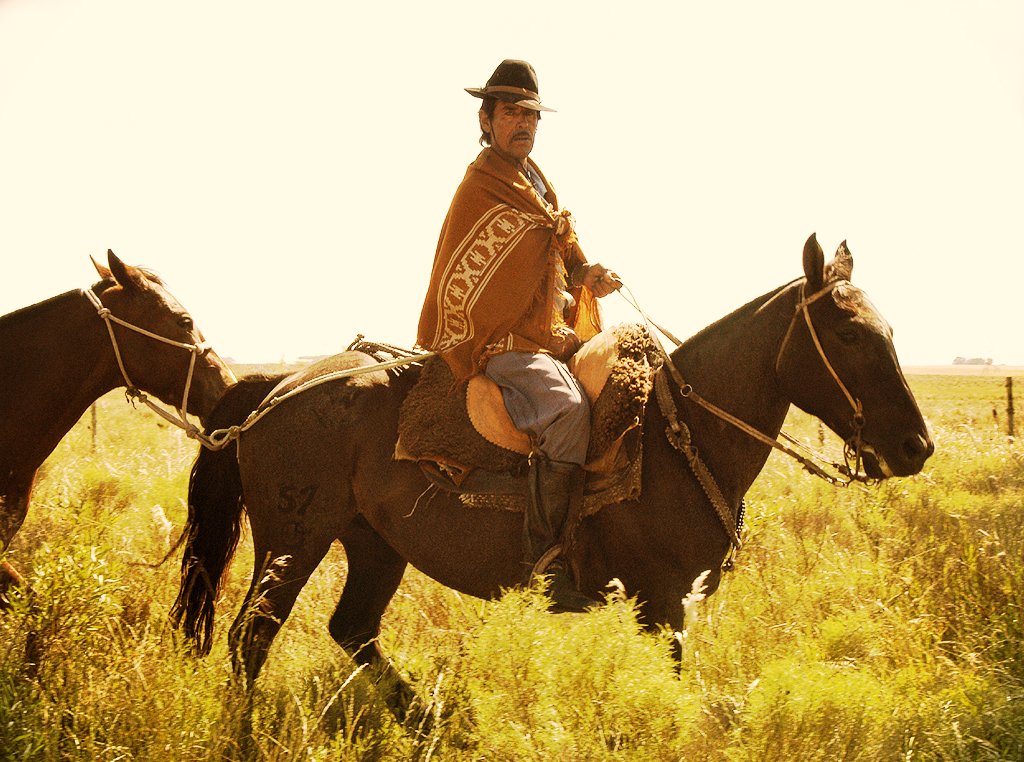 An Uruguayan rider, representing the gaucho tradition, part of the country's cultural heritage.