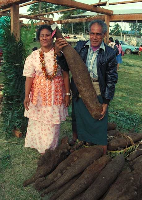 A Tongan farmer with yams, a staple root crop.