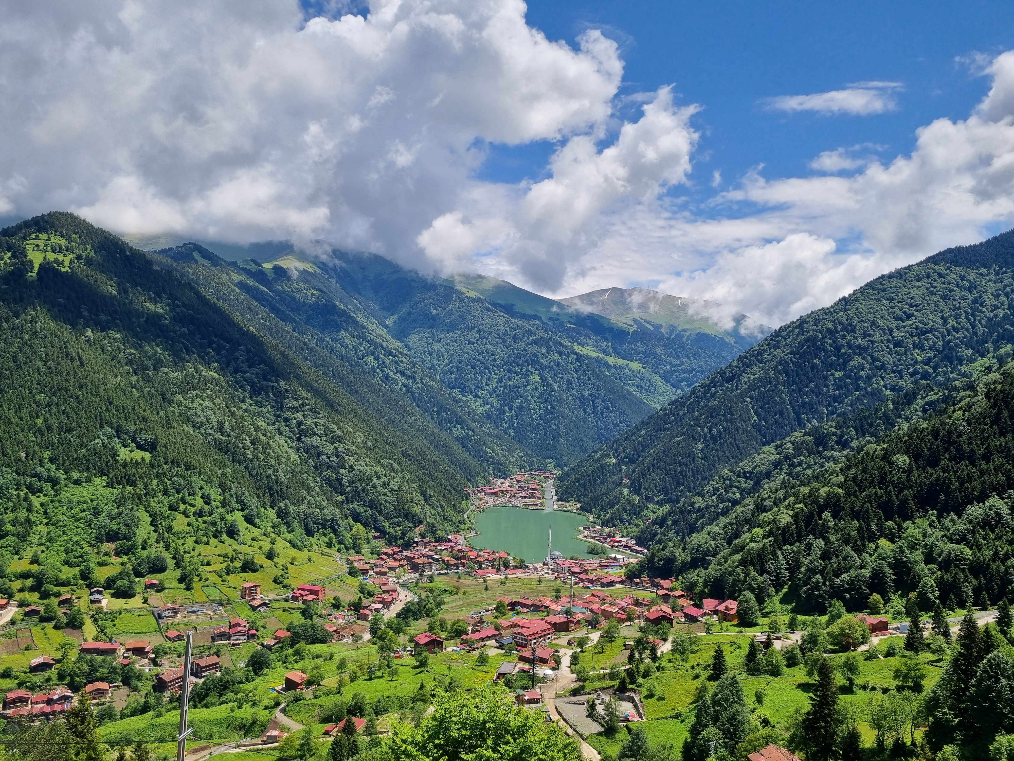 Kawasan Laut Hitam: Uzungöl di Trabzon. Hutan yang subur ditemui di sekitar Pergunungan Pontus disebabkan oleh jumlah kerpasan yang tinggi di bahagian utara banjaran gunung.