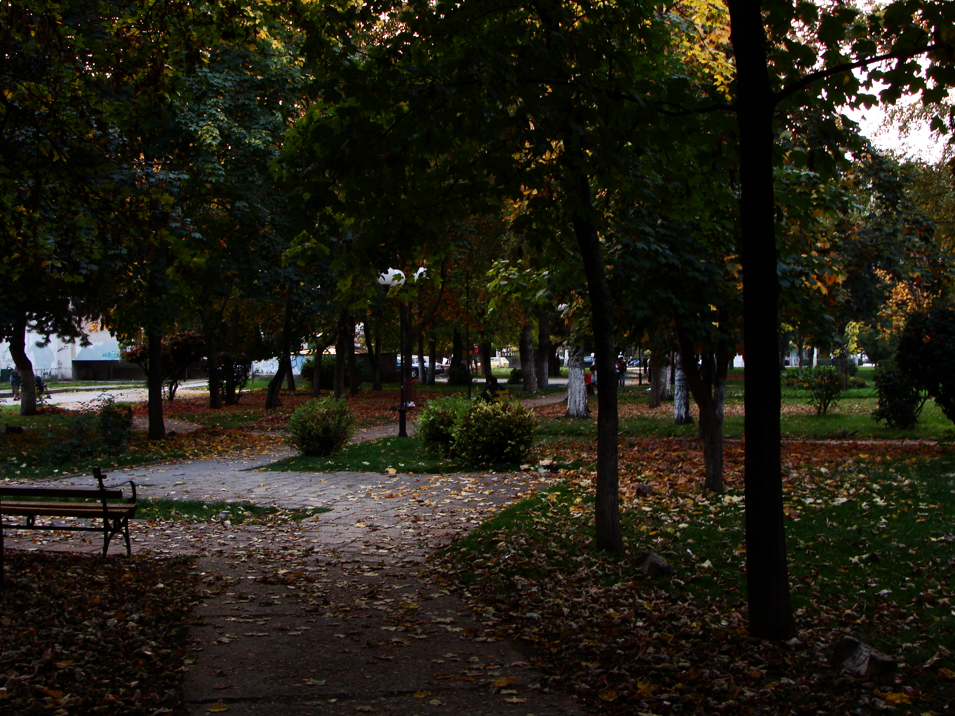 Struga