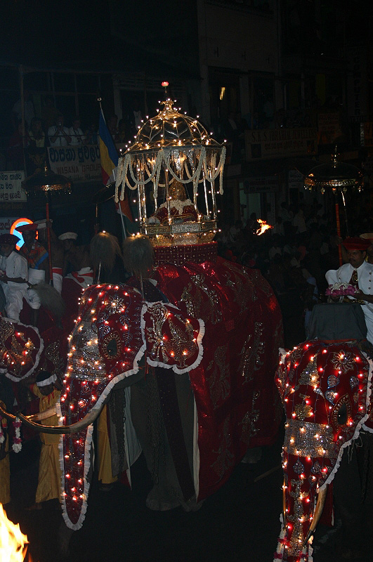 Những con voi tại Esala Perahera