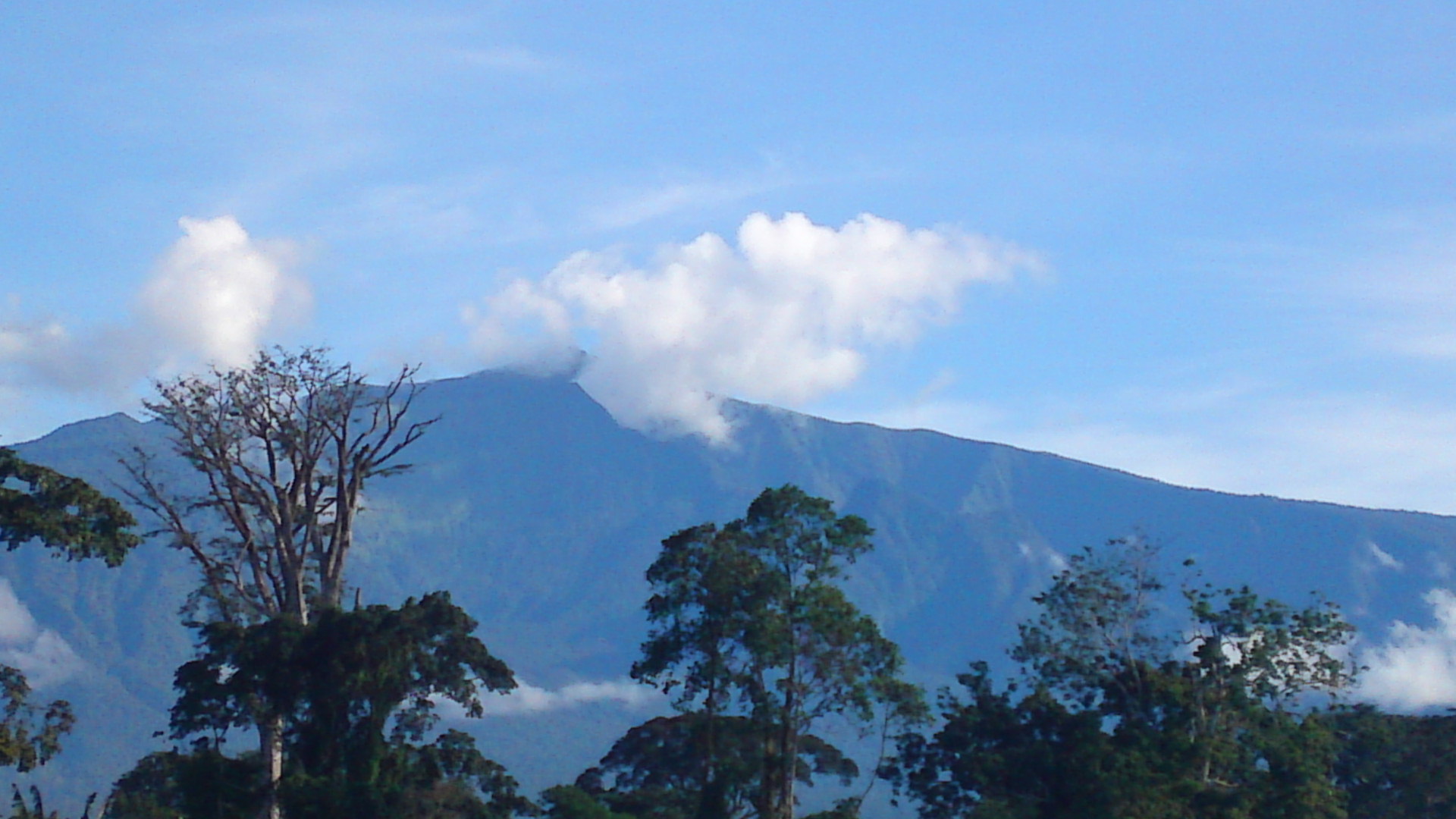 Pico Basilé, đỉnh núi cao nhất trên đảo Bioko, thuộc vùng sinh thái rừng núi.