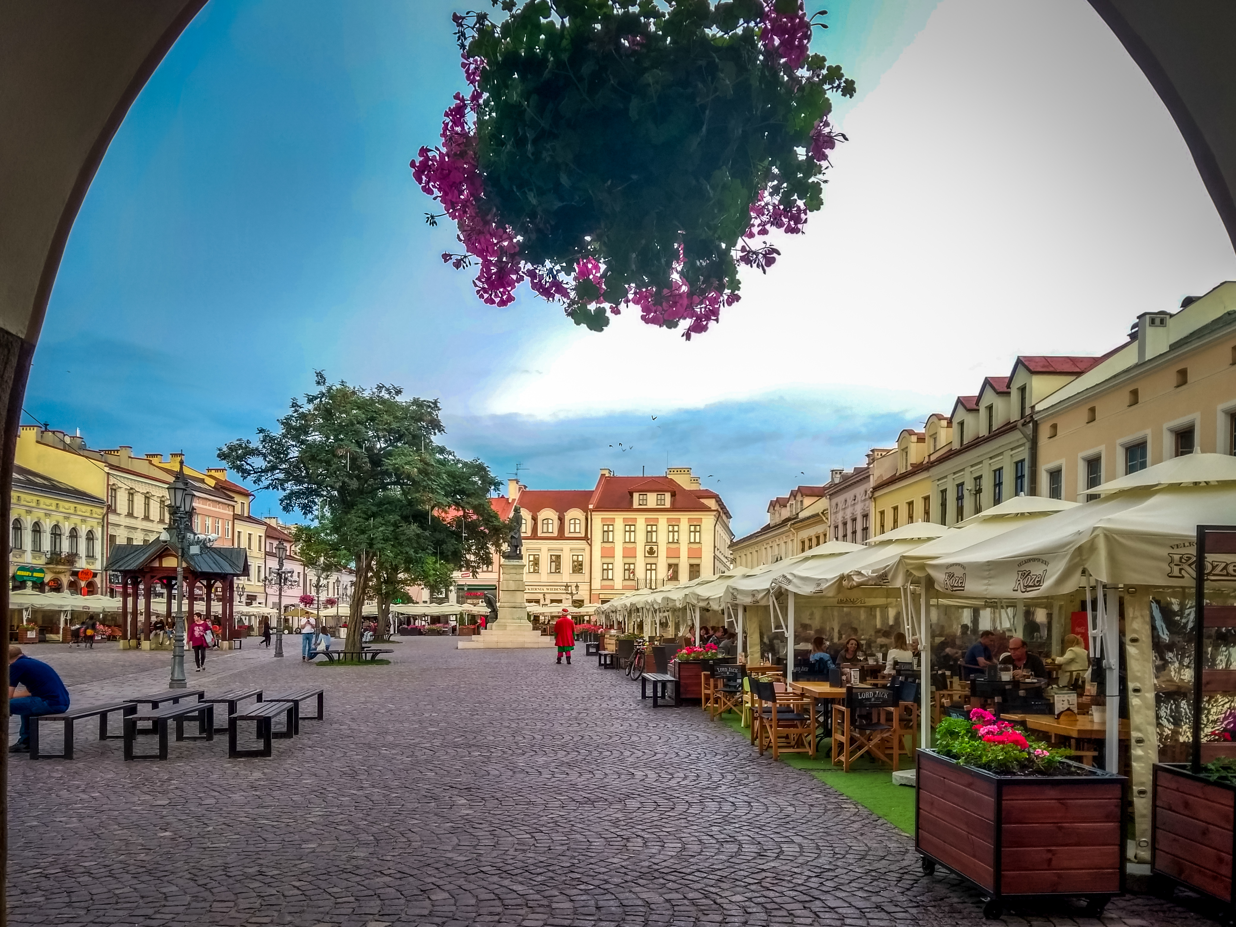 Rzeszów