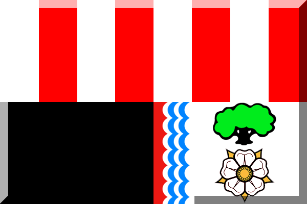 サウサンプトンFCのロゴ