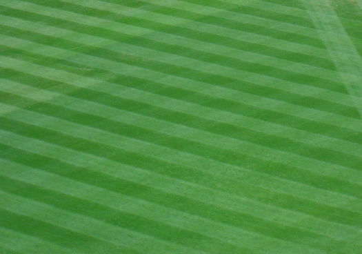 Pemandangan lapangan bisbol.