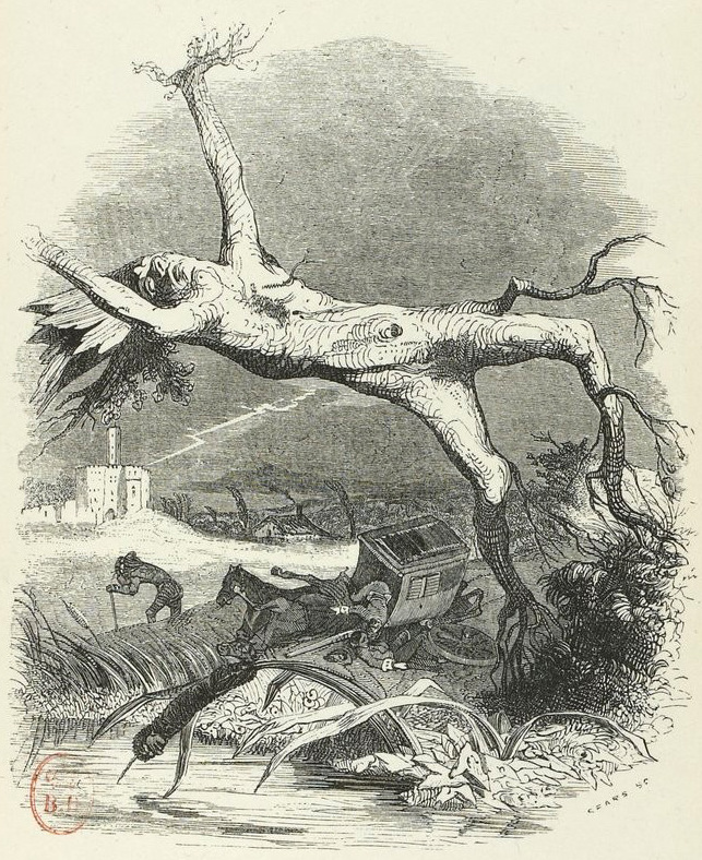 『참나무와 갈대』(Le Chêne et le Roseau프랑스어), 1권, 22번