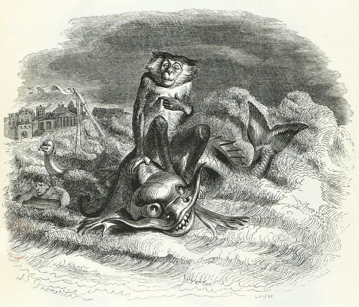『원숭이와 돌고래』(Le Singe et le Dauphin프랑스어), 4권, 7번