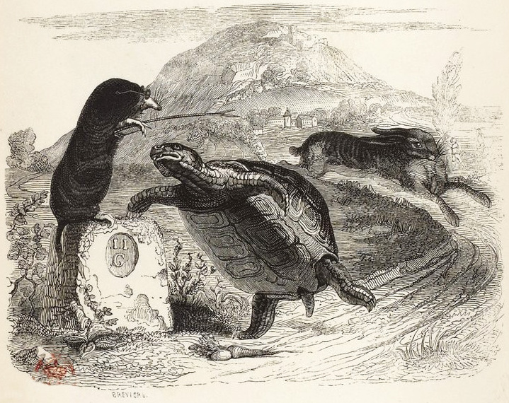『토끼와 거북이』(Le Lièvre et la Tortue프랑스어), 6권, 10번