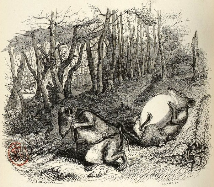 『두 마리 쥐, 여우, 그리고 달걀』(Les Deux Rats, le Renard et l'Œuf프랑스어), 10권, 1번