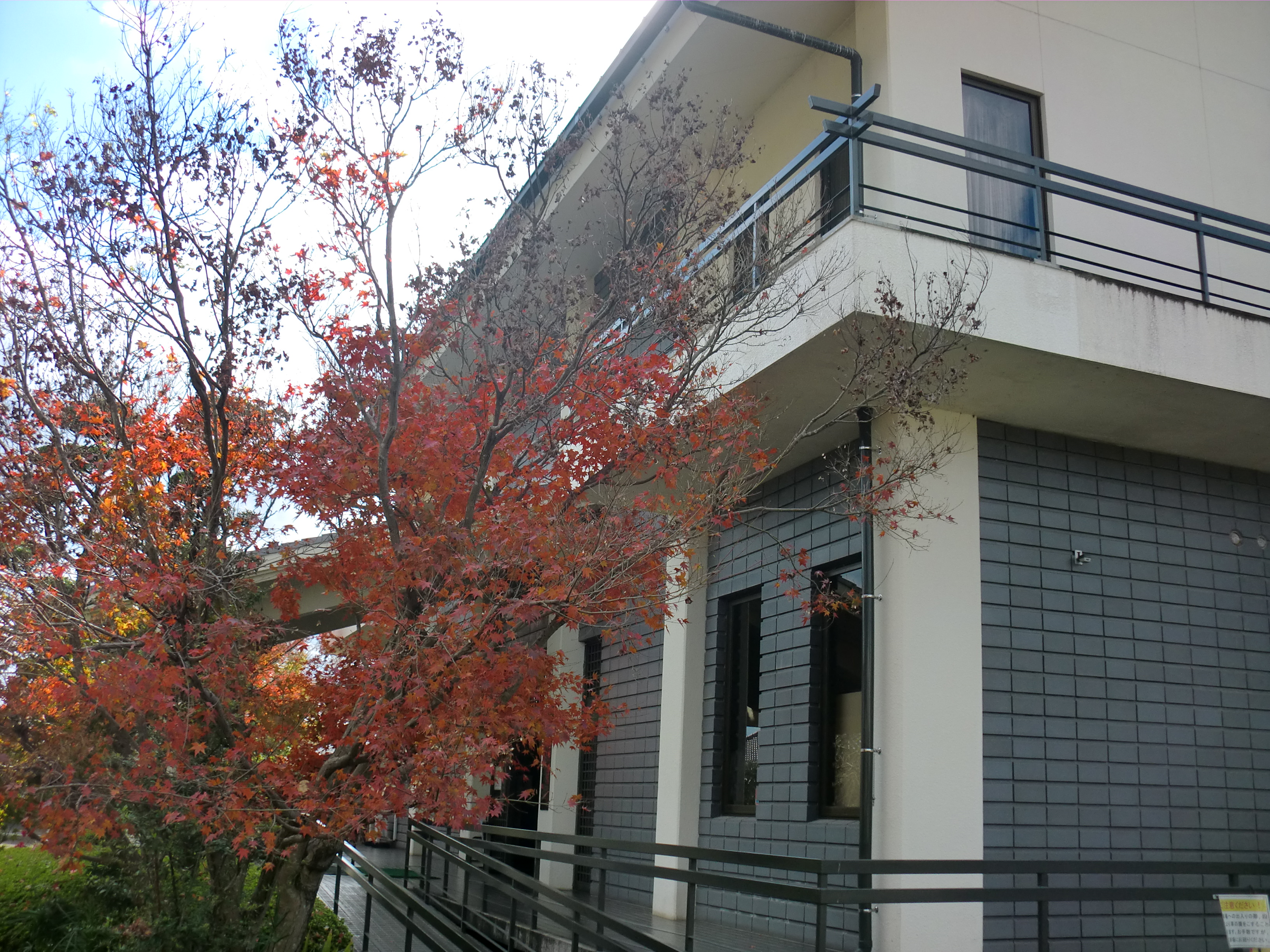 Yokoi Shōnan Memorial Hall, Kumamoto.