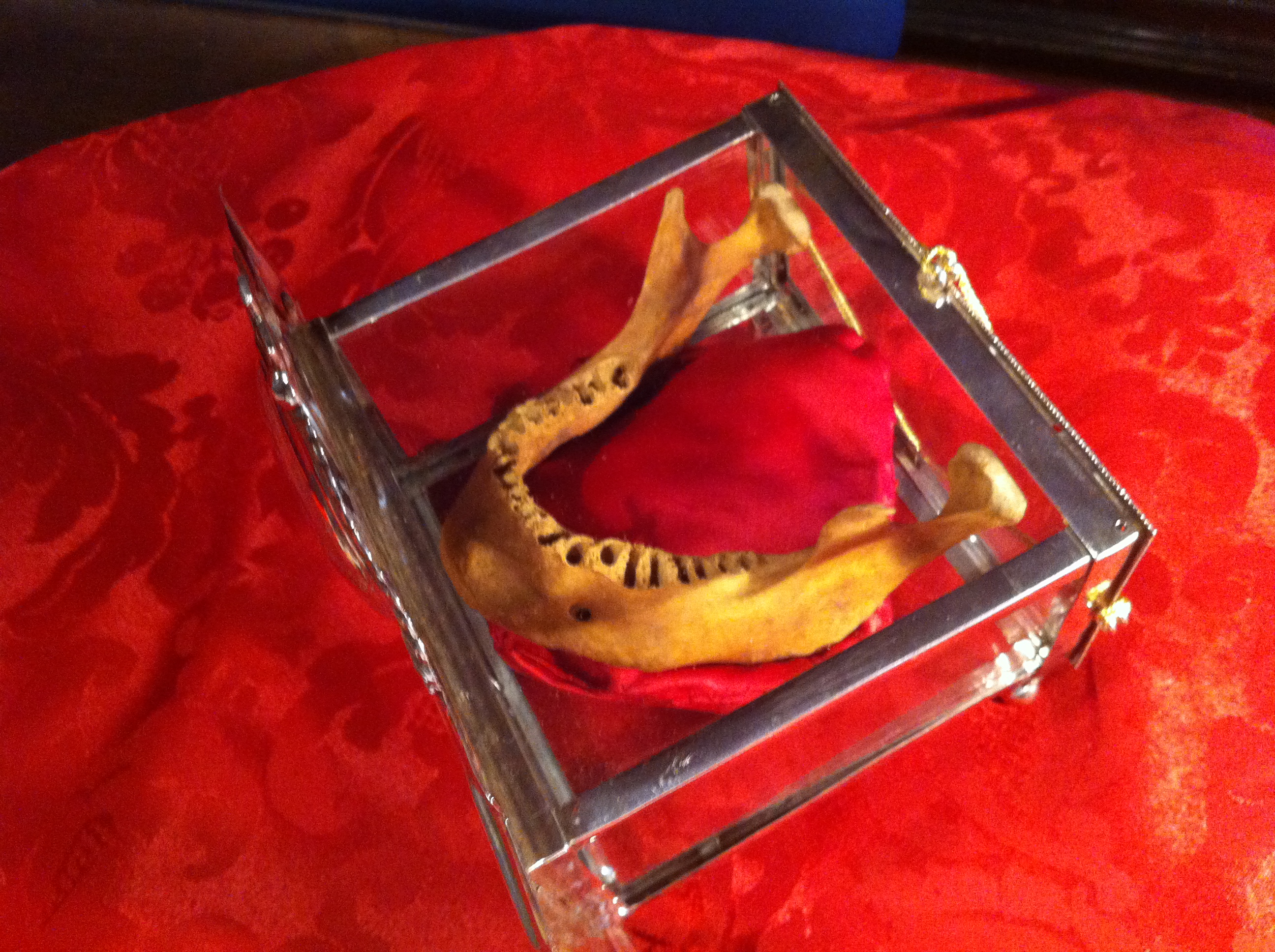 A relic of St. John of Ávila preserved in Almodóvar del Campo.