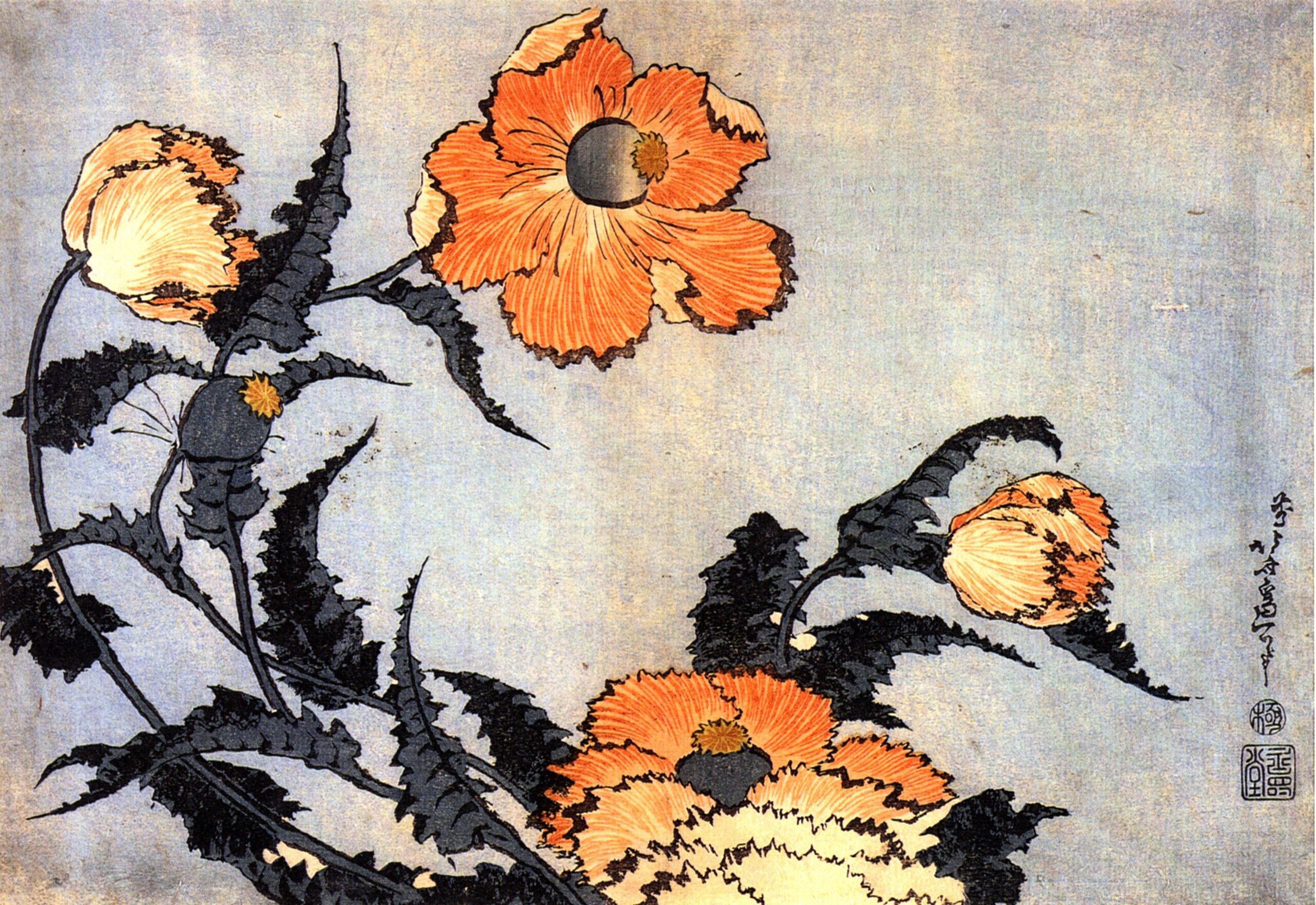 『芥子일본어』 (양귀비) 천보 초기 화조화