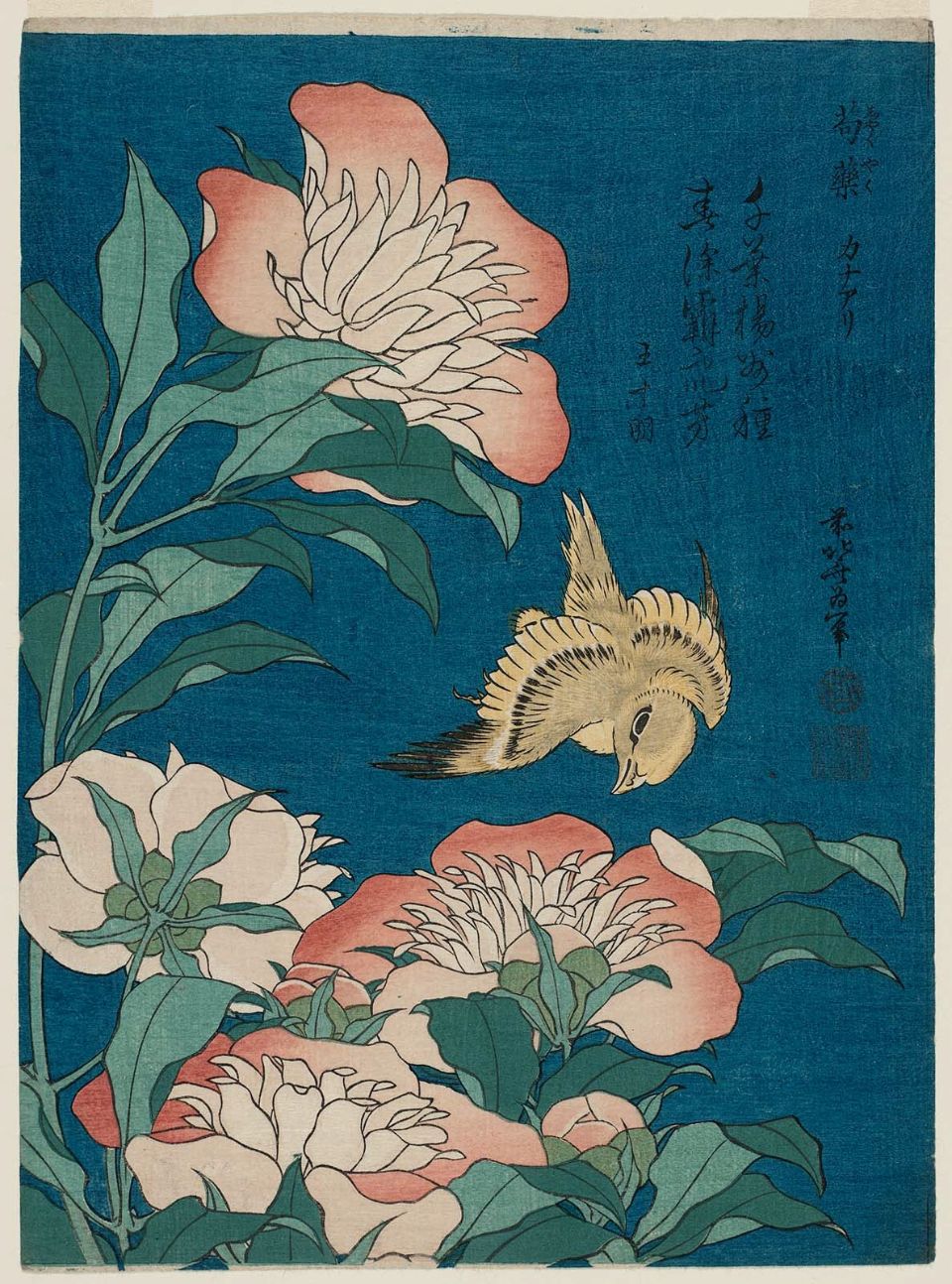『芍薬 カナアリ일본어』 (작약과 카나리아) 그려진 새는 카나리아지만, 그림 안에는 '카나아리'라고 표기되어 있다.