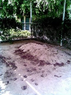 Grave of Maududi in Ichhra, Lahore