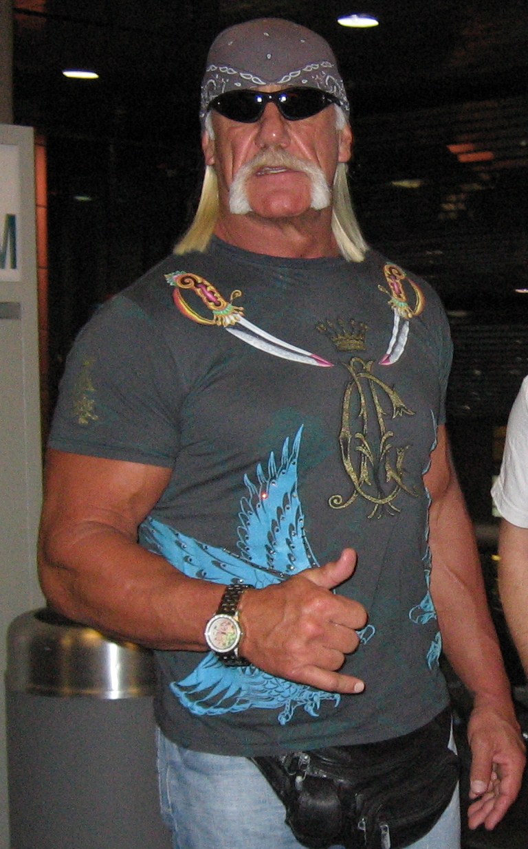 Hulk Hogan pada tahun 2014