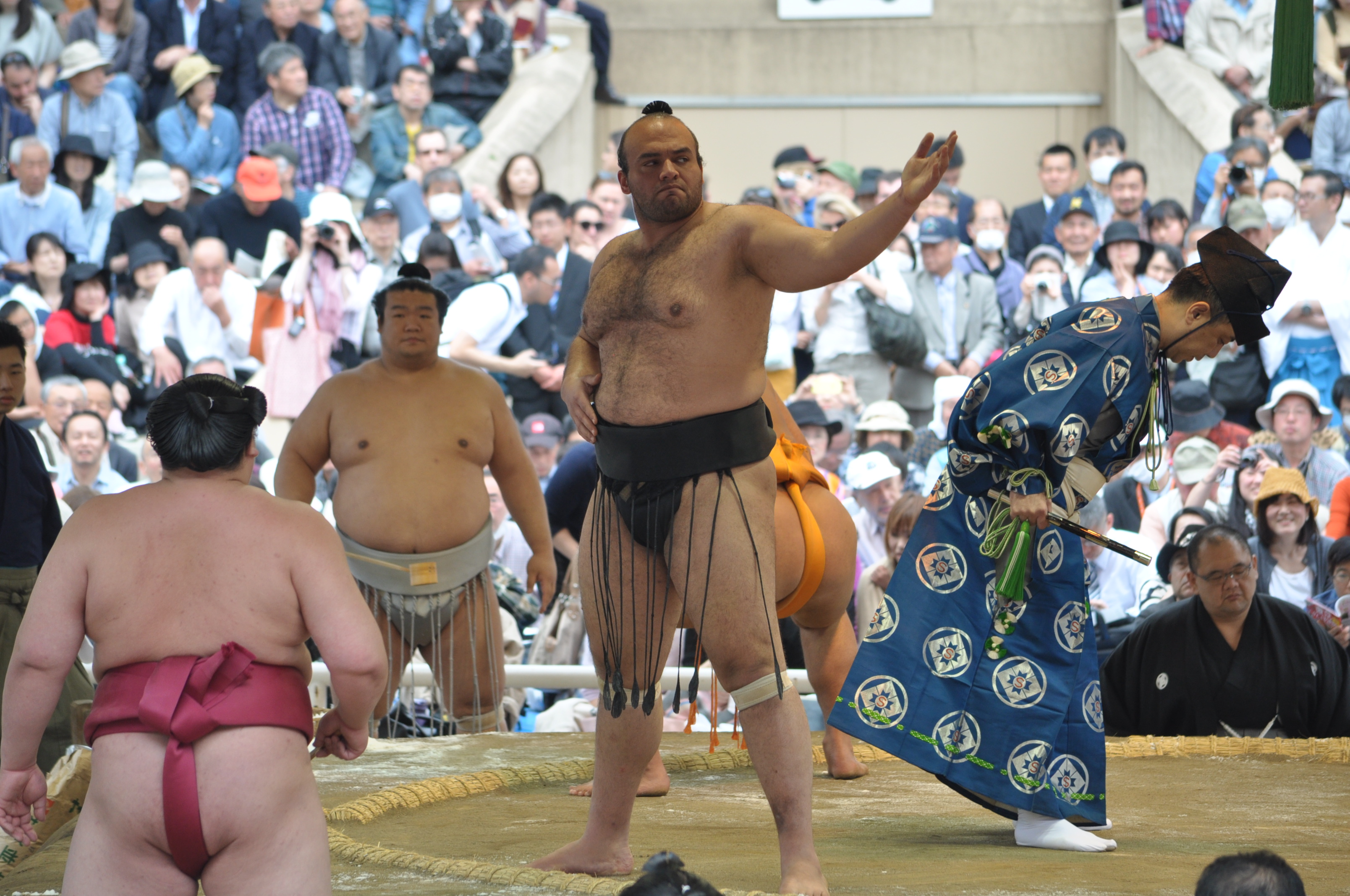 靖国神社奉納大相撲での大砂嵐(2017年4月17日撮影)