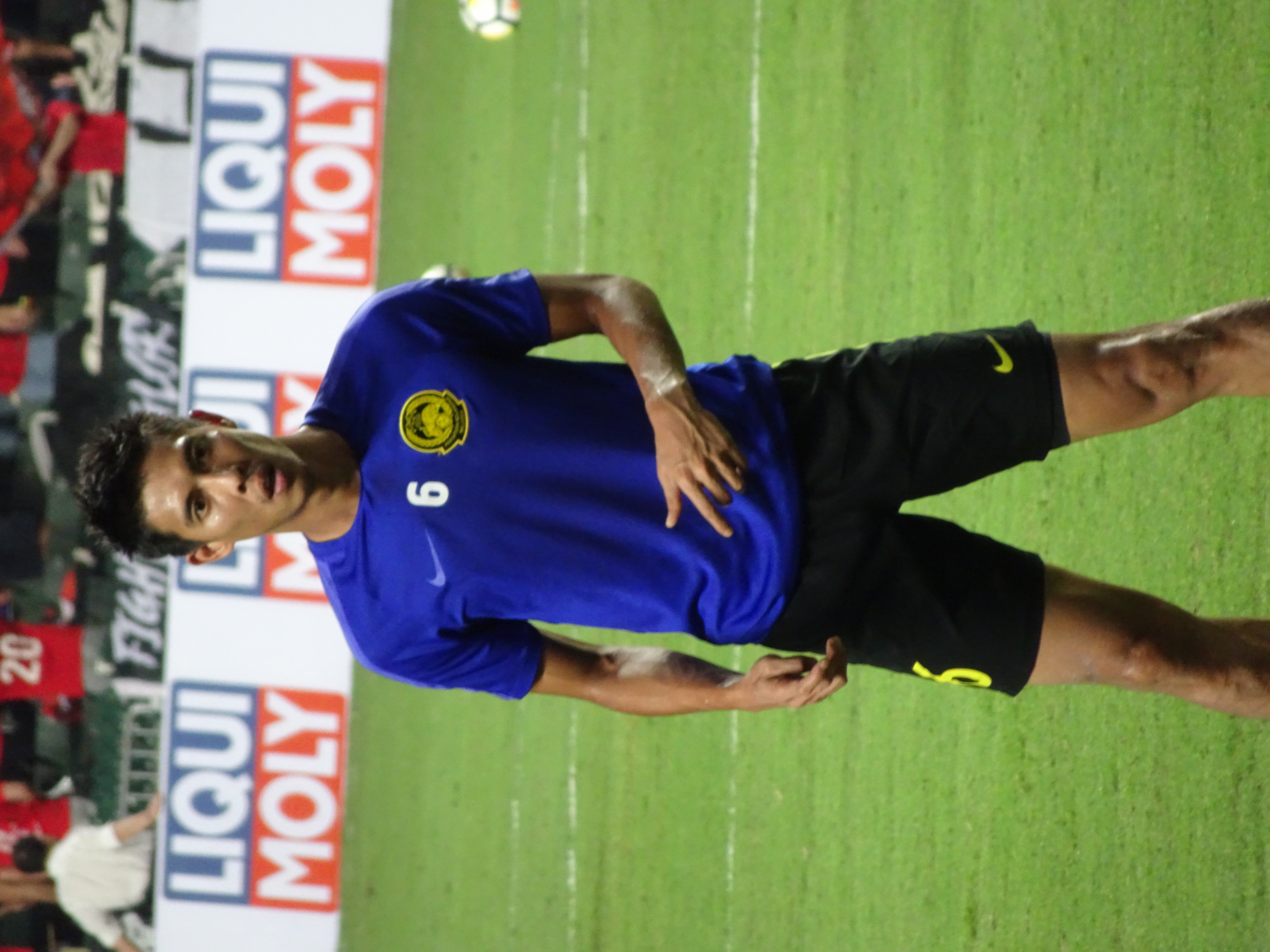 Amirul Hadi